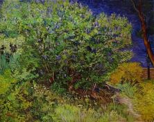 Haga click para ver la imagen ampliada 1889 lilas.jpg
